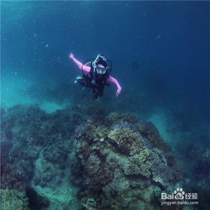 逃出海洋城堡